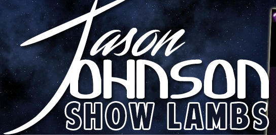 Jason Johnson Show Lambs